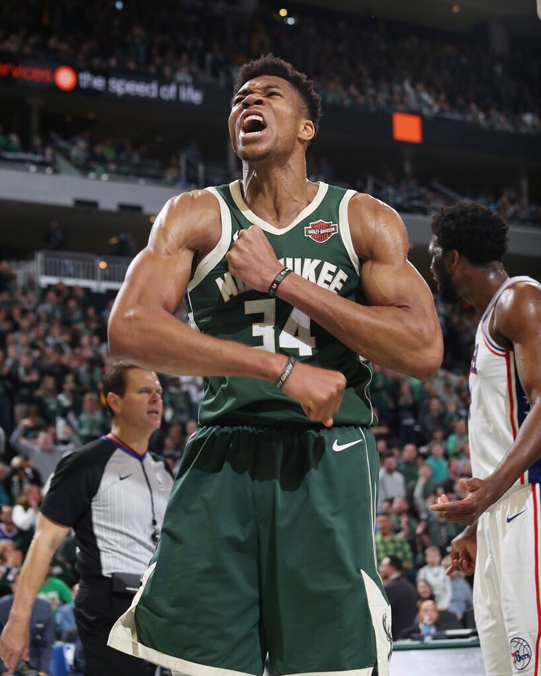 看上去热闹 看上去热闹