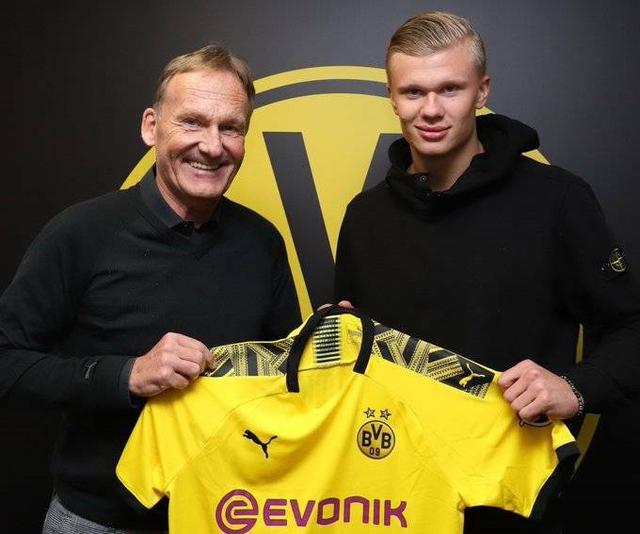 具话题性的 具话题性的